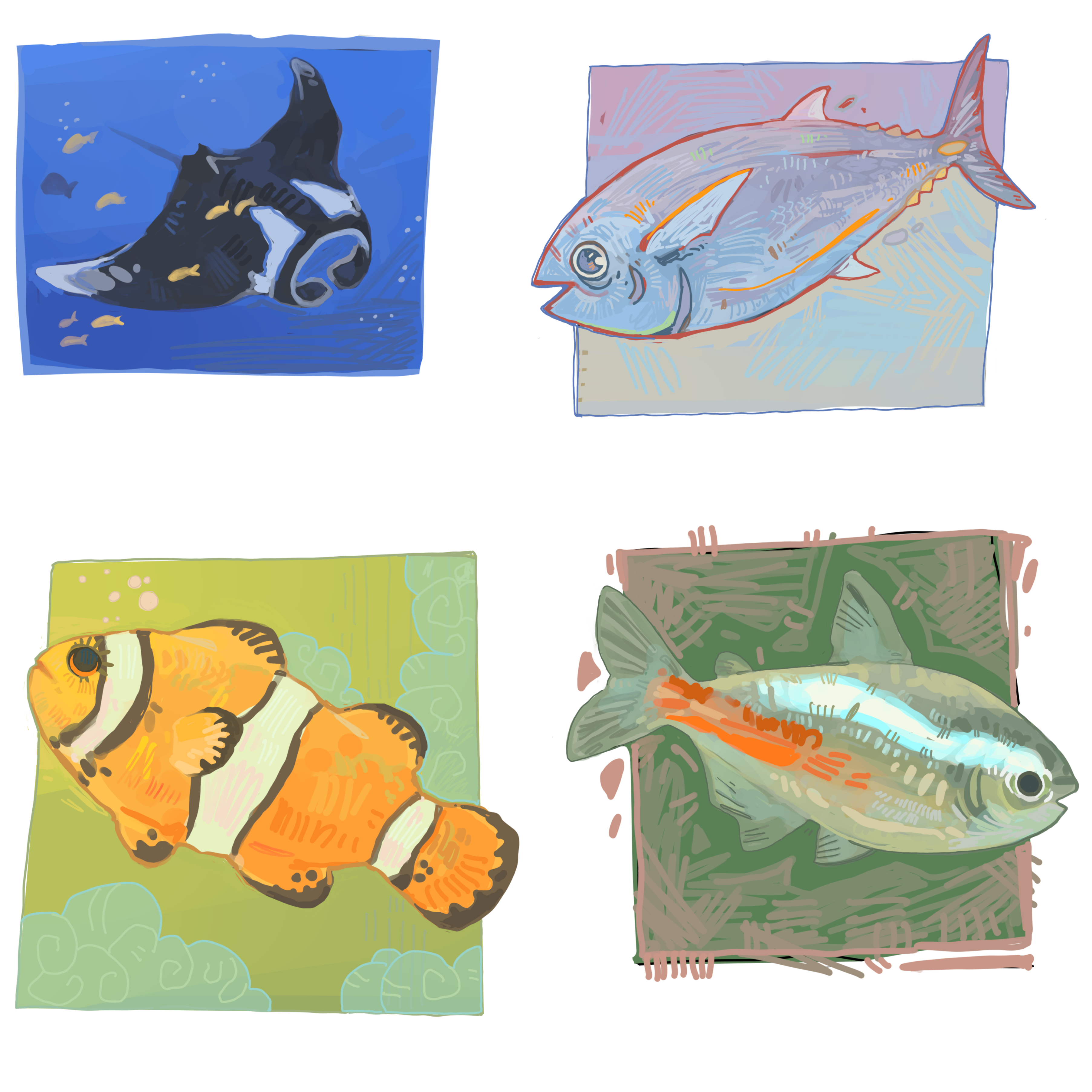 fish study 1 i.PNG
